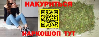 стаф Будённовск