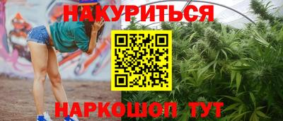 стаф Будённовск