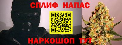 стаф Будённовск