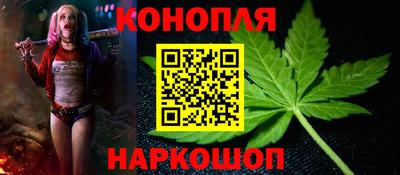 стаф Будённовск