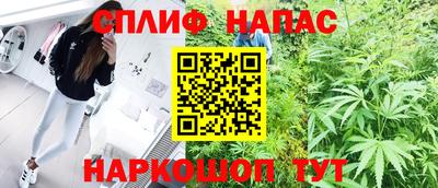 стаф Будённовск