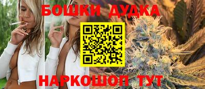 стаф Будённовск