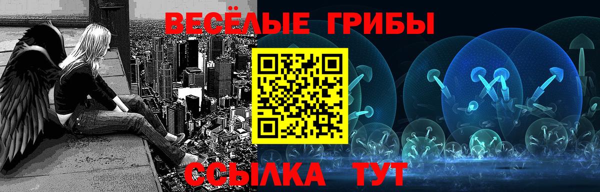 купить   Вход с VPN  Симферополь  Галлюциногенные грибы Cubensis 