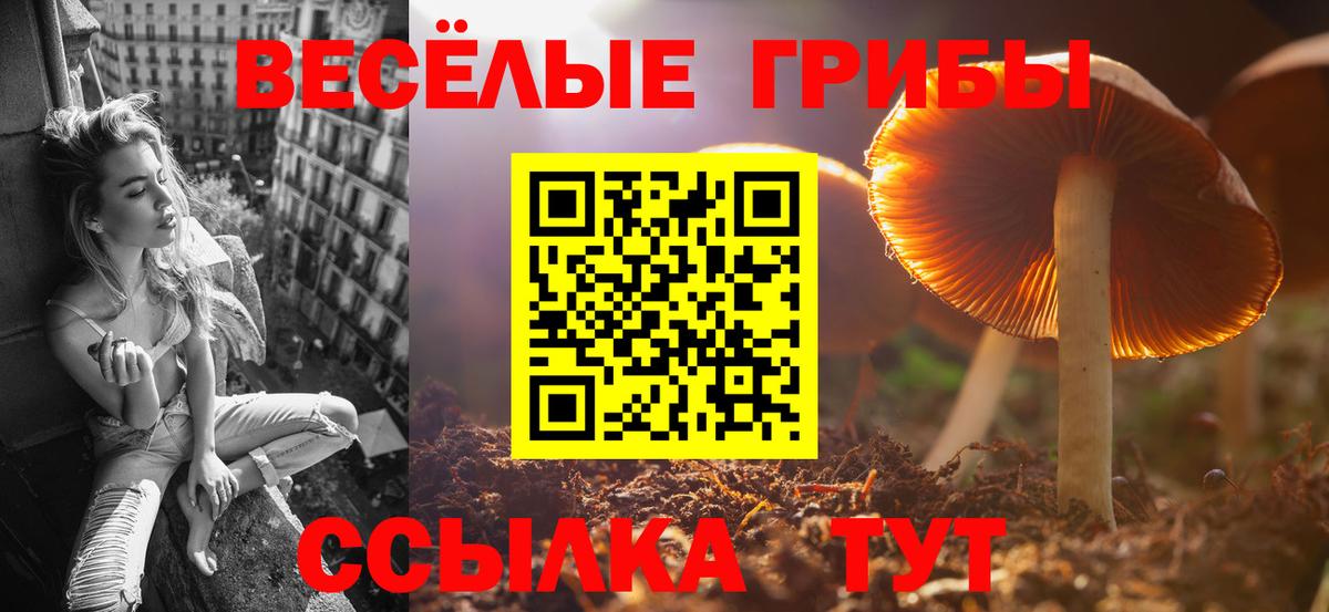 Галлюциногенные грибы Psilocybine cubensis Симферополь